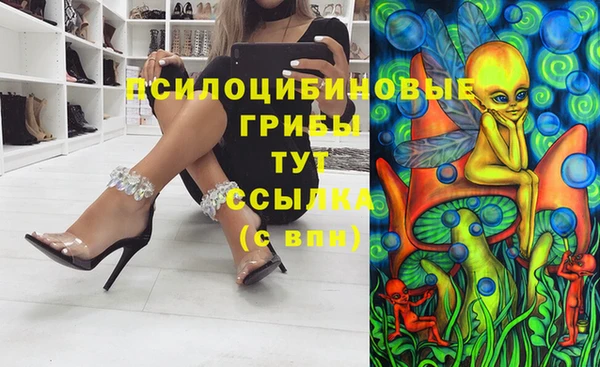 соль ск Арсеньев